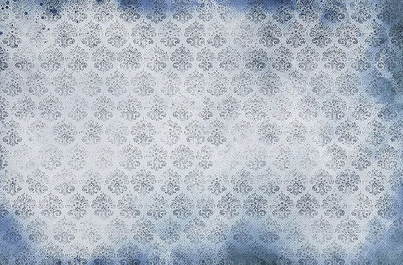 ���Ż��Ʊ���-������