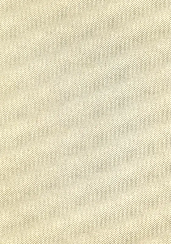 ֯�ﱳ��-������