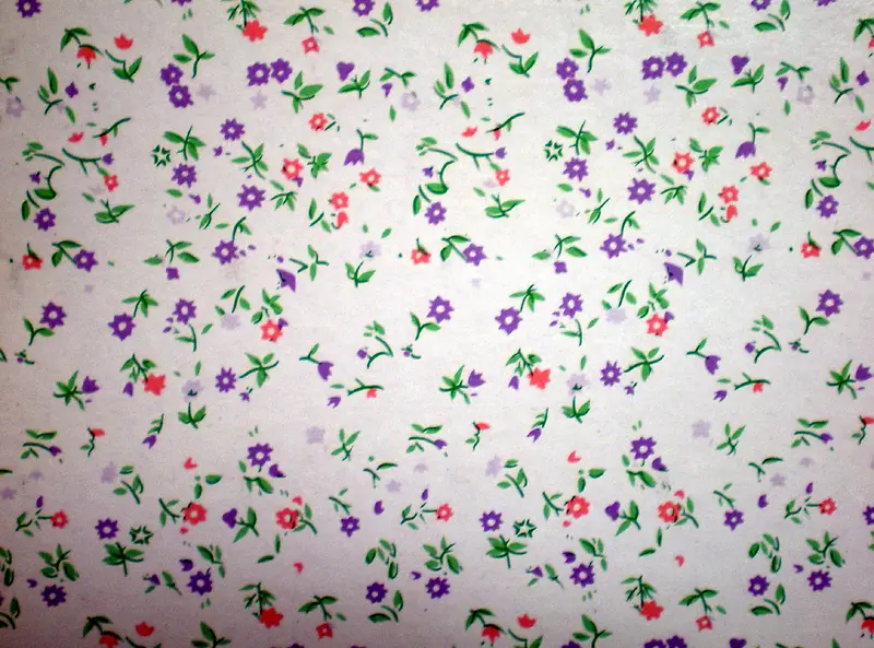 �����黨����-������