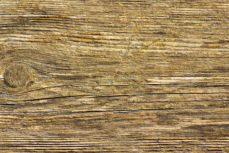 ľ����������-������