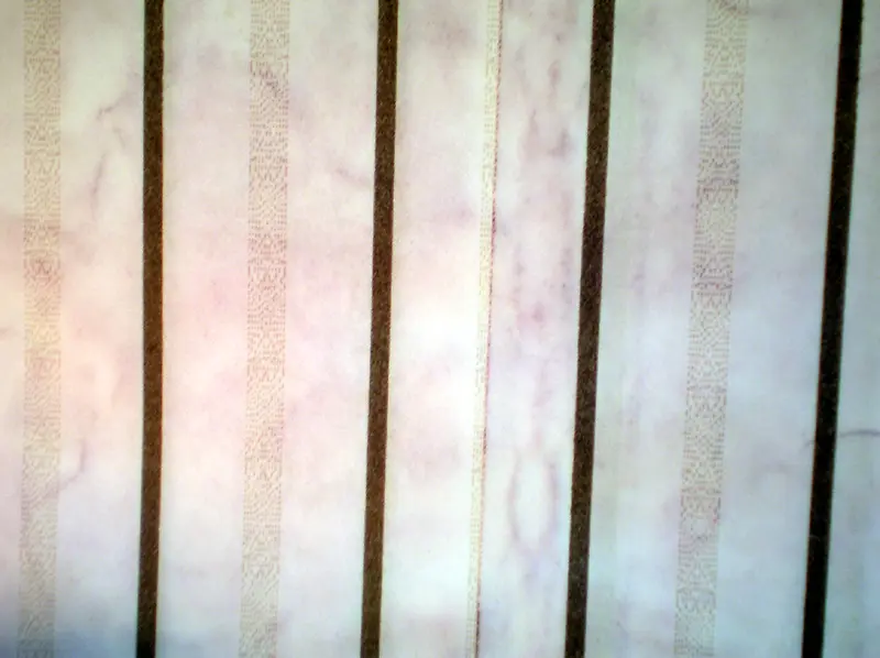 ���ɸ�����������-������