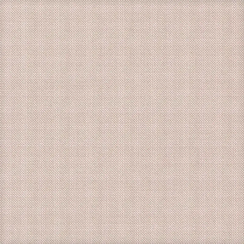 ���Ʊ���-������