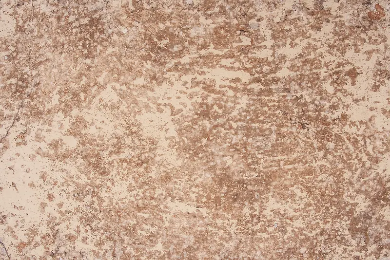 ����ǽ�ڱ���-������