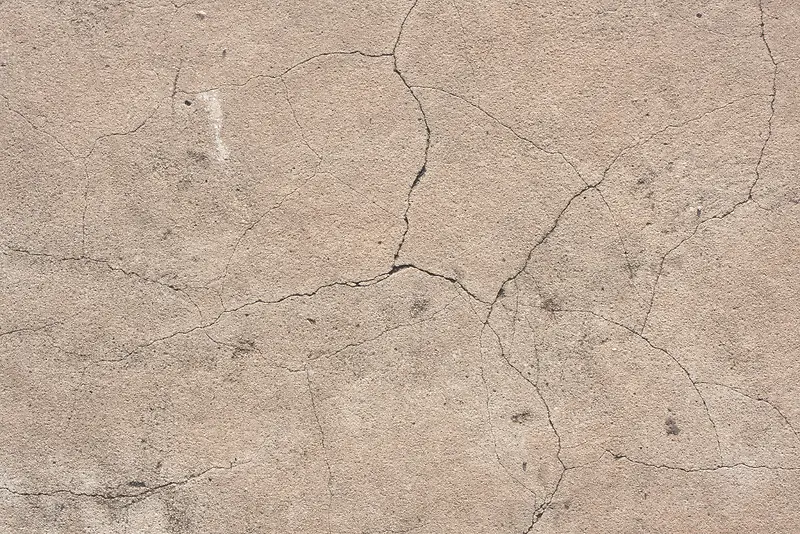 ǽ�����Ʊ���-������