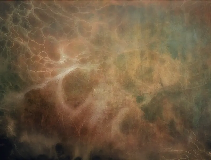 �λû��ɱ���-������