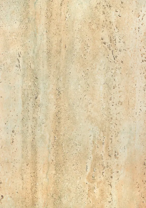 ǽ�ڱ���-������