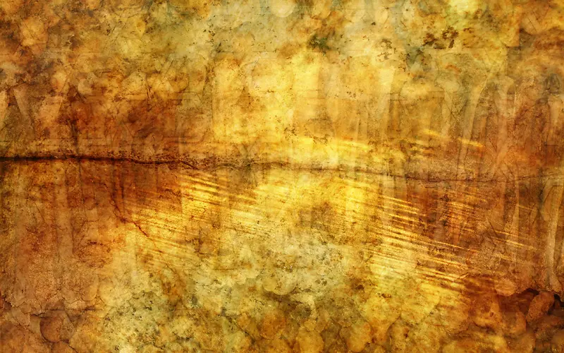 ����ľ�Ʊ���-������