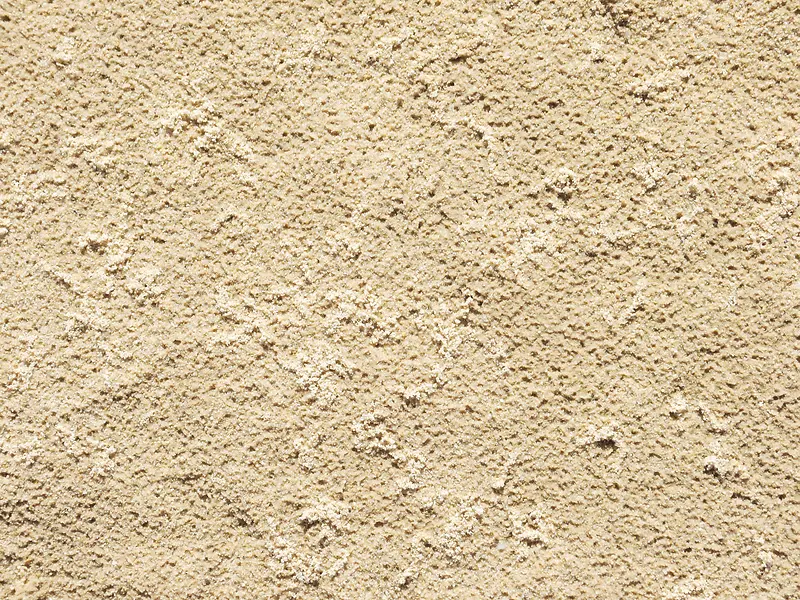 ǽ�ڱ�������-������