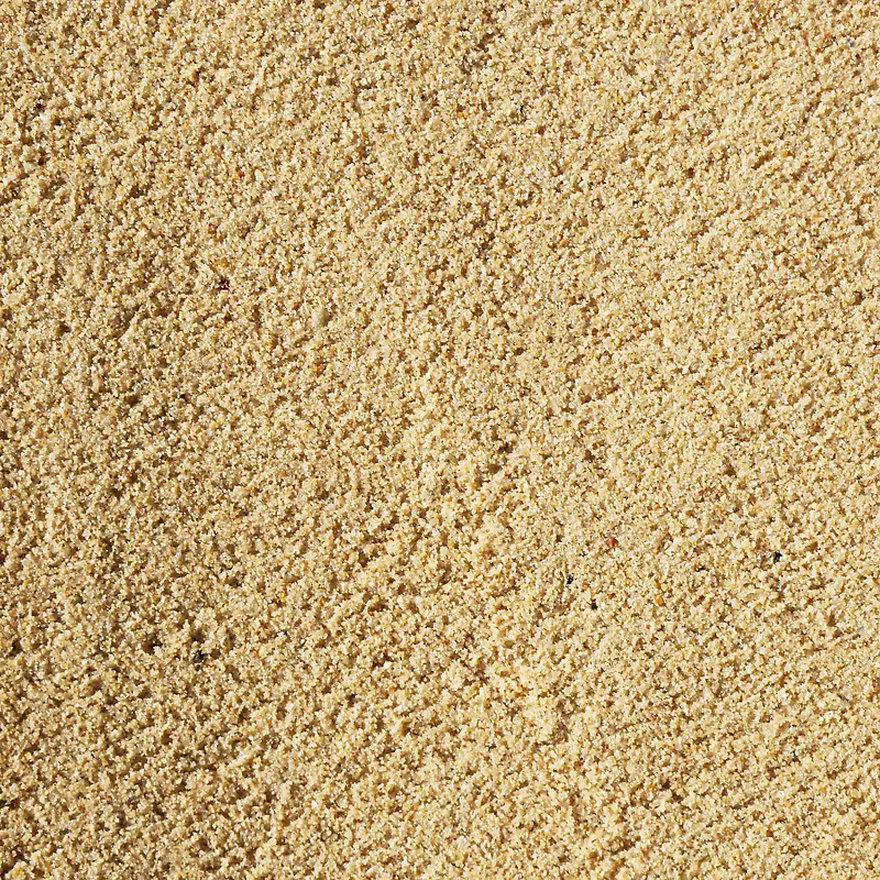 ǽ����������-������