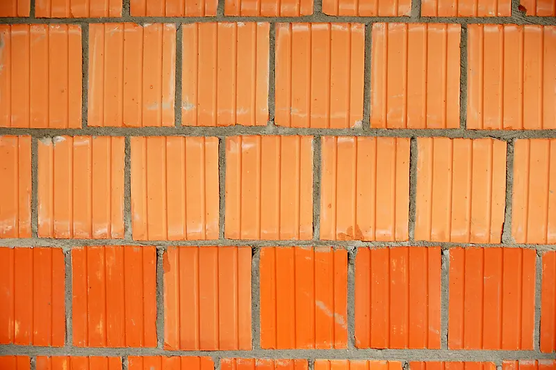 ǽ����������-������