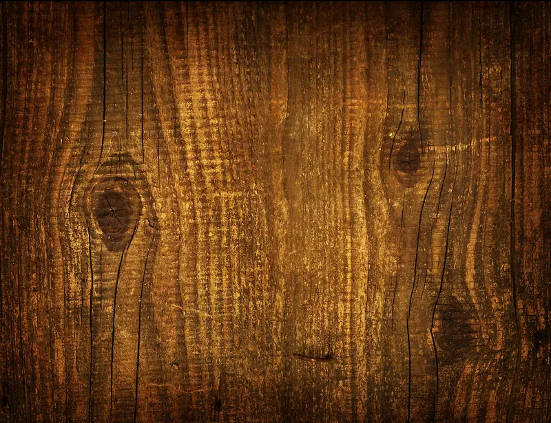 ľ�Ʊ���-������