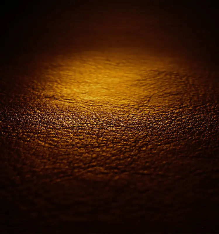 Ƥ����������-������