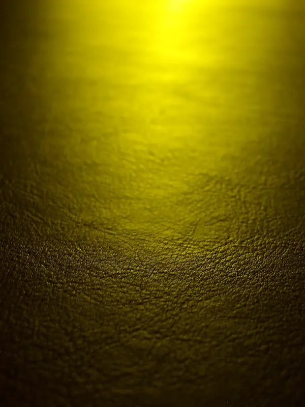 Ƥ����������-������