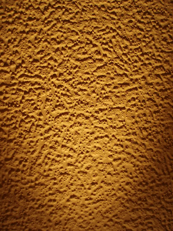 ����ǽ�ڱ���-������