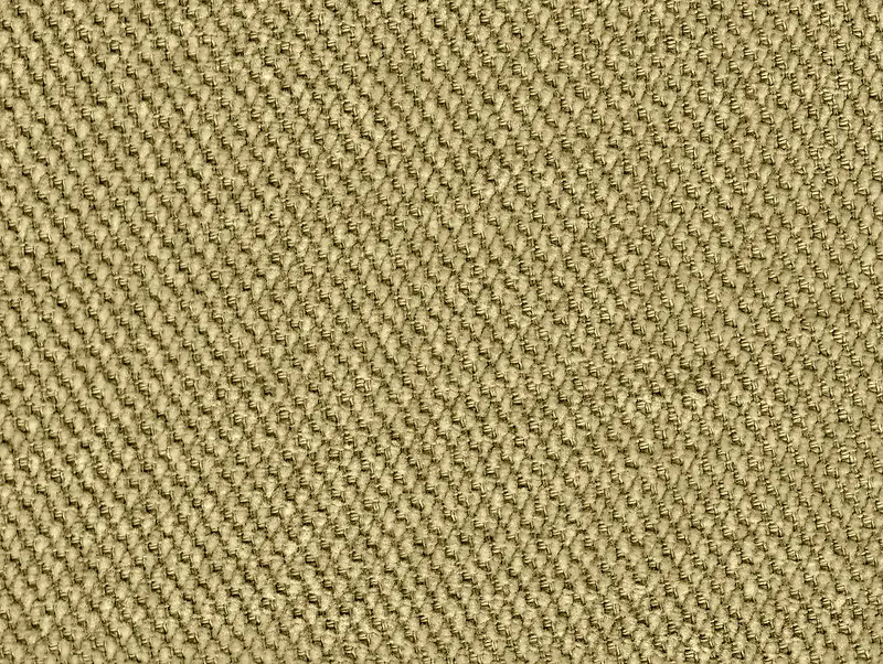 �鲼��������-������