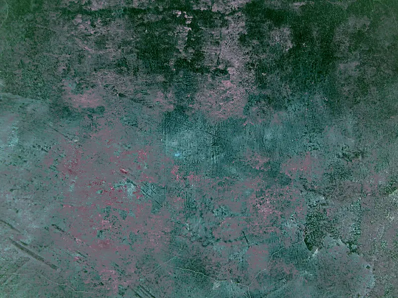 ����ǽ�ڱ���-������