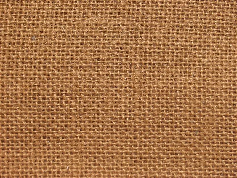 �鲼��������-������