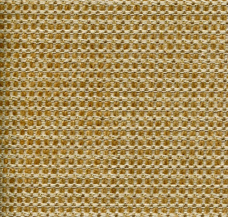 �鲼��������-������