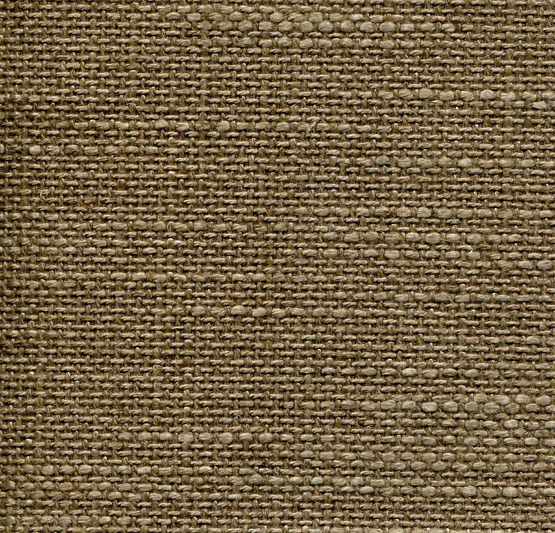 �鲼��������-������