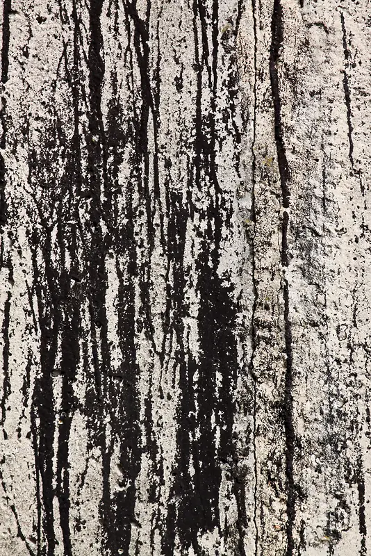 ����ǽ�ڱ�������-������