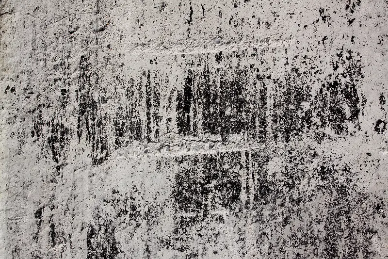 ����ǽ�ڱ���-������