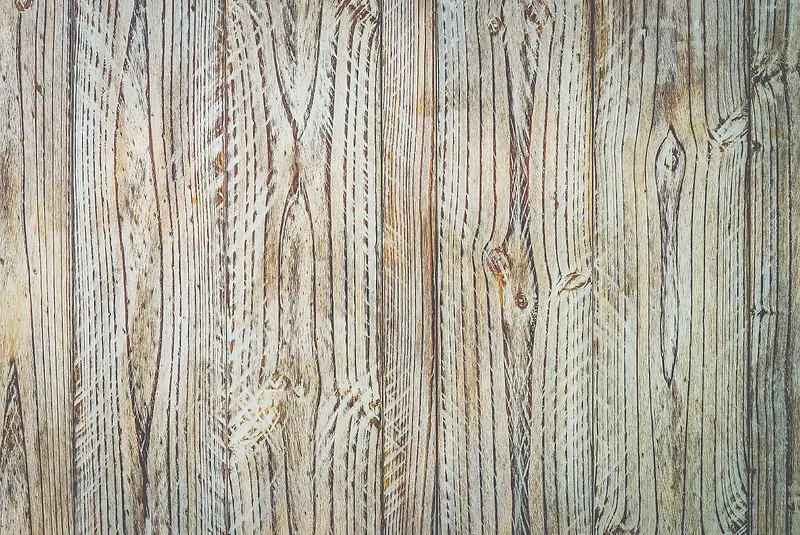 ���ŵذ���������-������