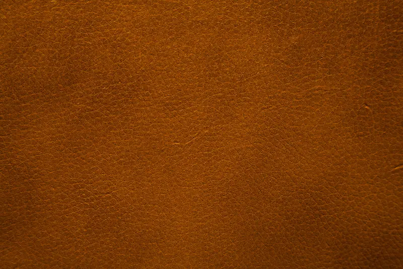 ����Ƥ����������-������