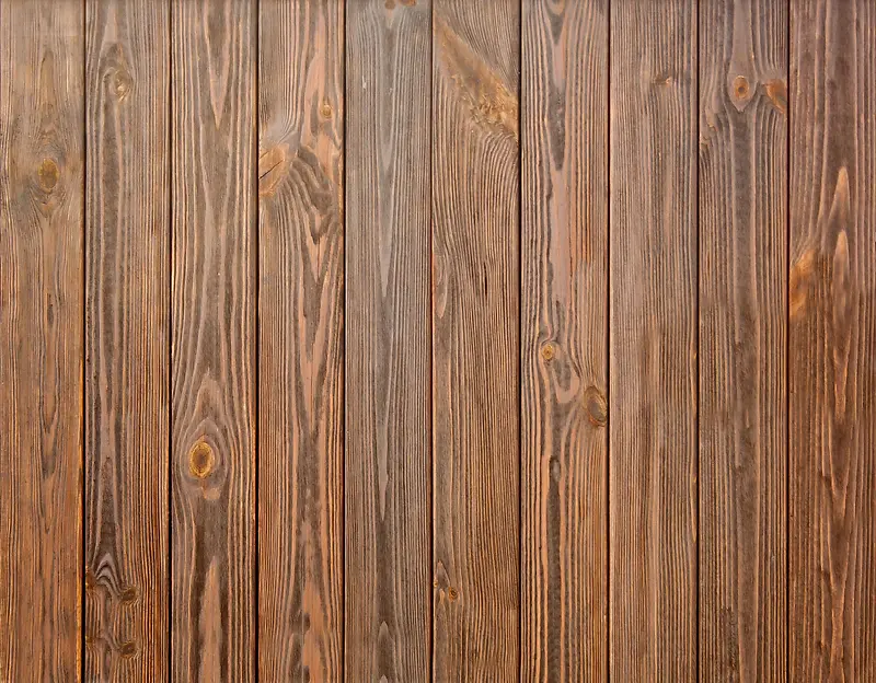 ����ľ�Ʊ���-������