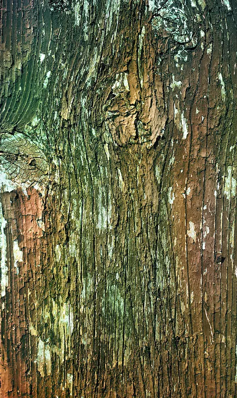 ����ľ�屳������-������