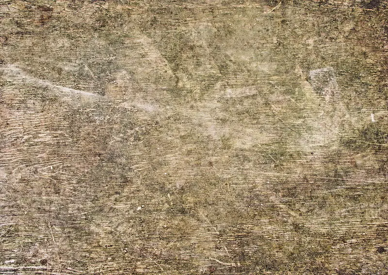 ����ľ�Ʊ���-������