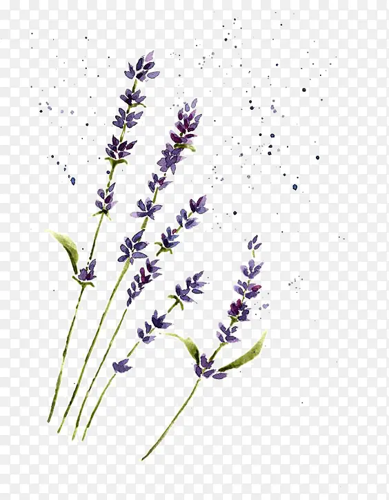 ��ɫ޹�²�-������