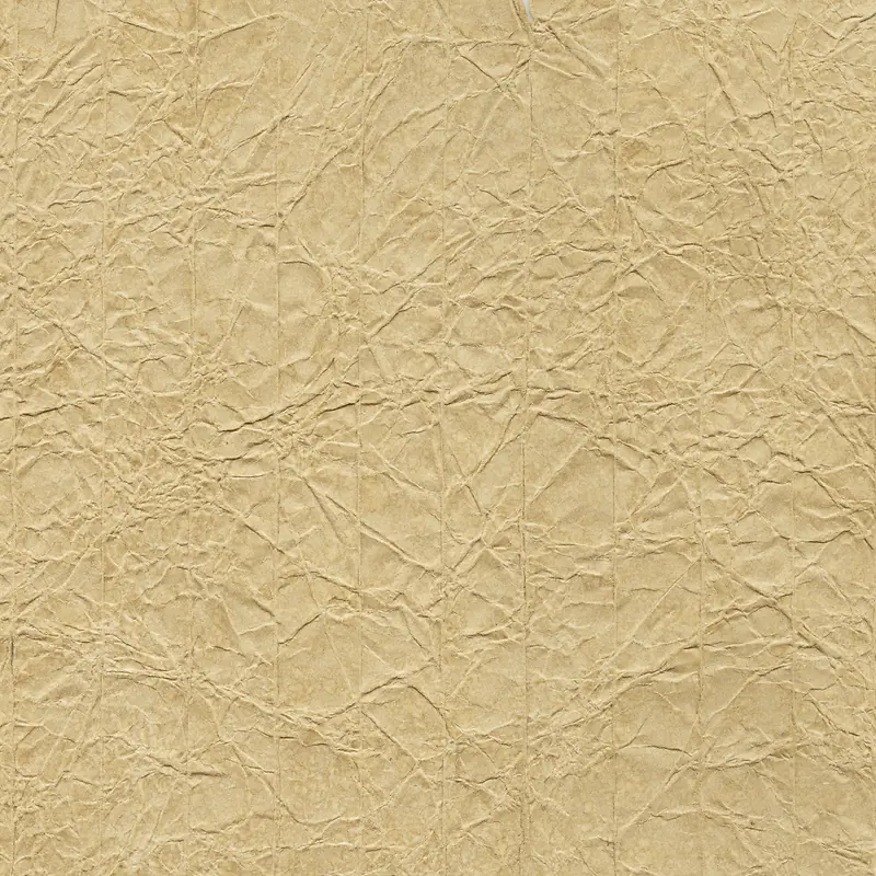 ����ֽ�ű���-������