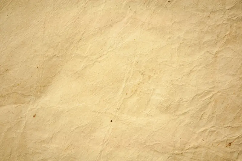 ����ֽ�ű���-������