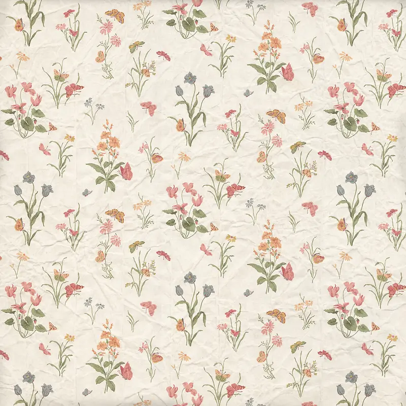 �ʻ���������-������