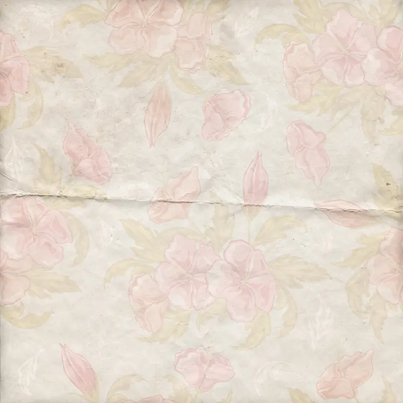 ���Ż���ֽ�ű���-������