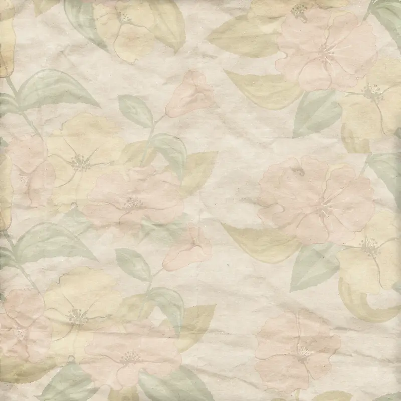 �ʻ�ֽ�ű���-������