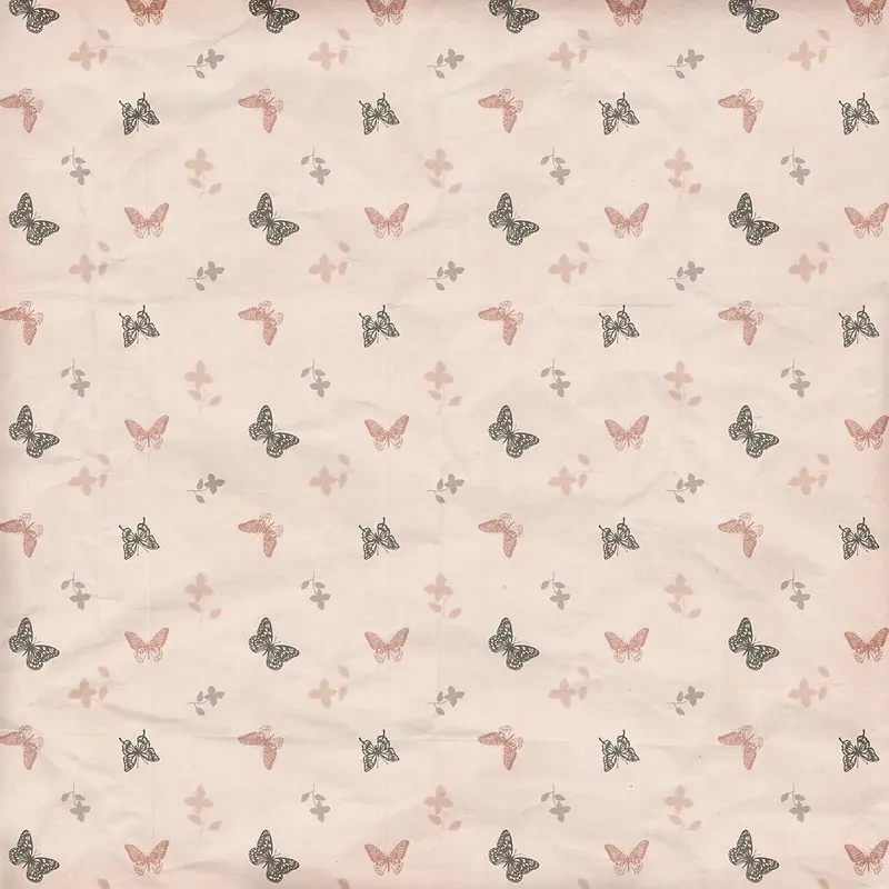 �������Ʊ���-������