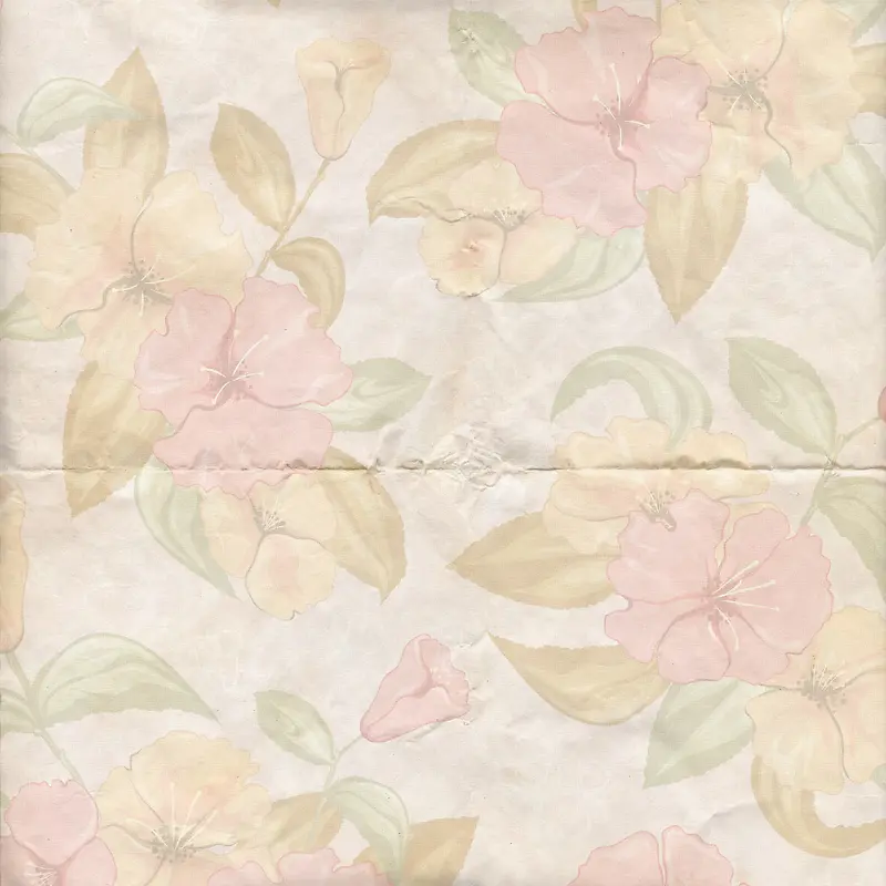 ����ֽ�Ż��Ʊ���-������