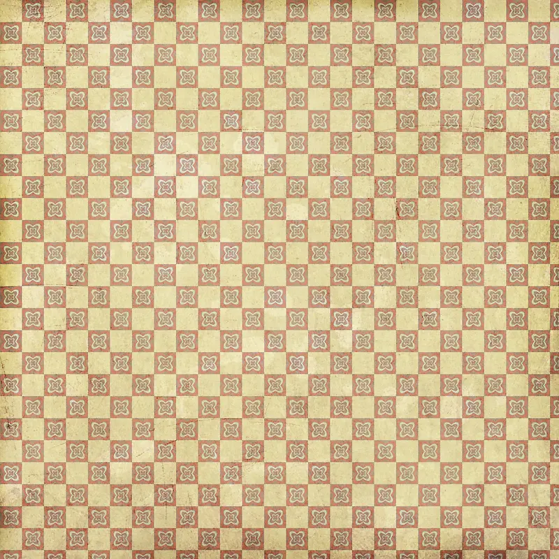 ���Ż����޷챳��-������