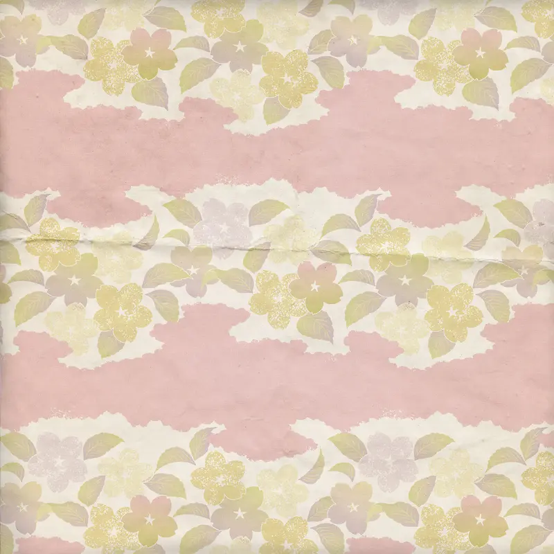 ���ɻ���ֽ�ű���-������