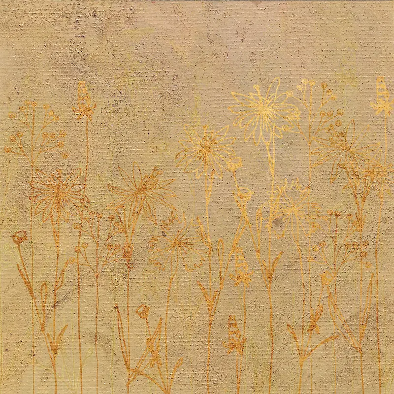 ����ֽ���ʻ�����-������