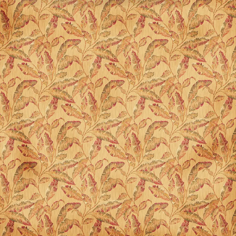 ��Ҷ��������-������