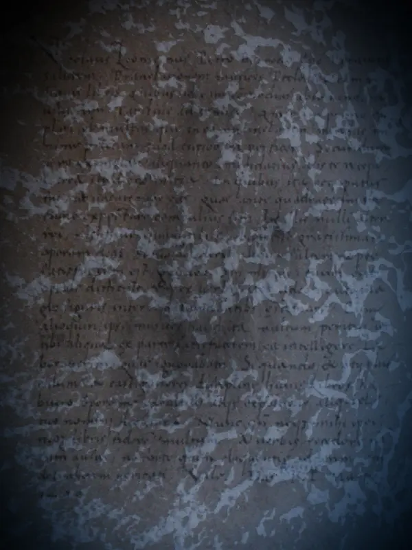 ����ֽ�ű���-������