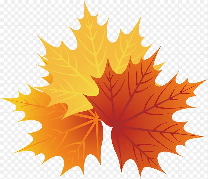 ��Ҷpngʸ���ز�-������