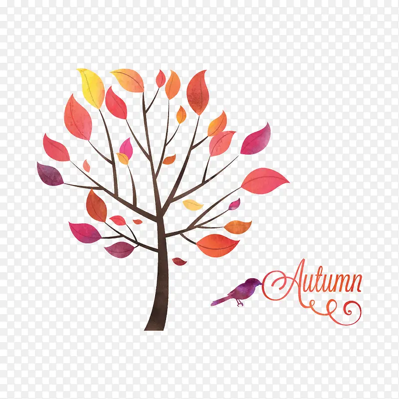 ���쿨ͨ����Ҷ-������