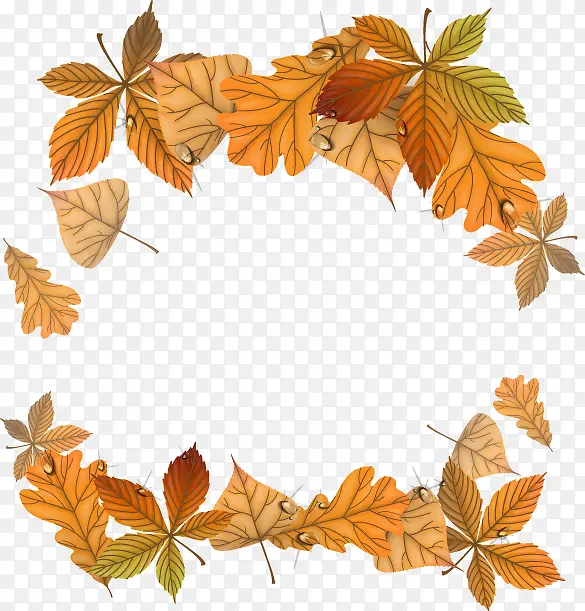 ��ͨ�ֻ�������Ҷ-������