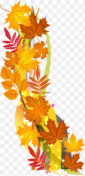 ��ͨ�ֻ�������Ҷ-������