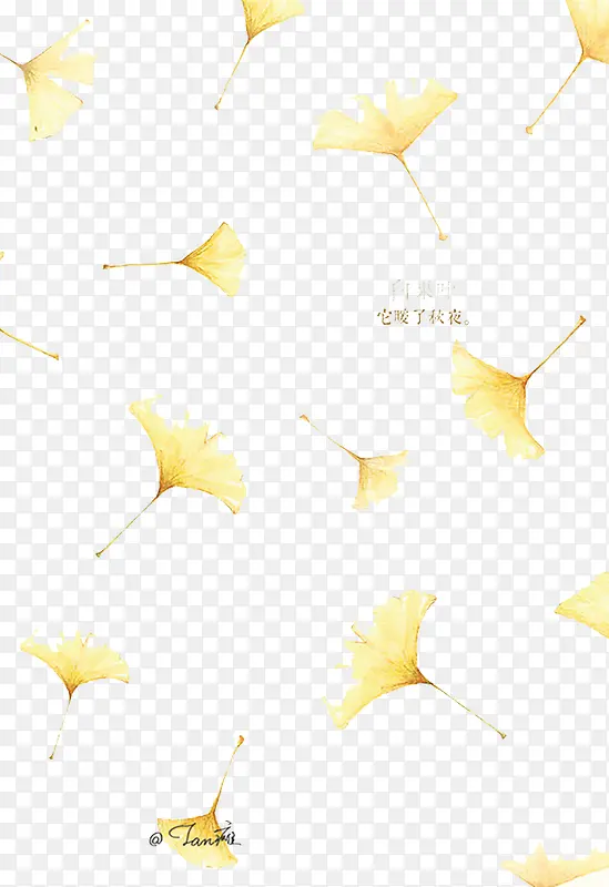 �ֻ���Ҷ-������