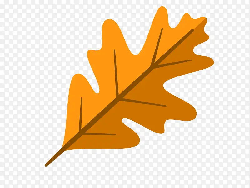 ��Ҷ���쿨ͨʸ���ز�-������