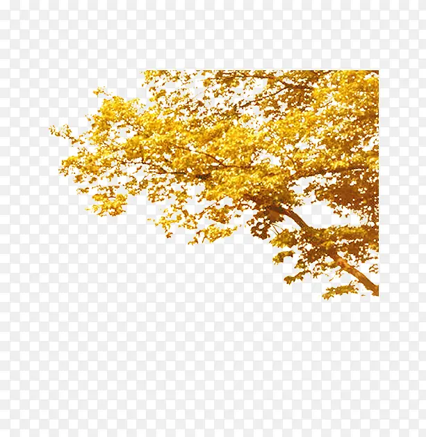 ��ɫ�������-������